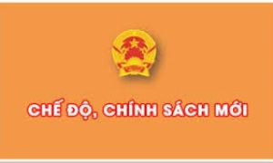 Chính sách và chế độ tinh giản biên chế